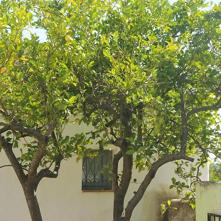 Casa Do Vale Barnyard Appartement Loulé